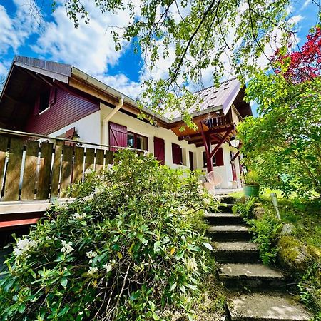 Les Cimes Blanches Cledicihome Chalet 10 Pers Spa & Grand Terrain 4 Minutes Des Pistes La Bresse Exterior photo