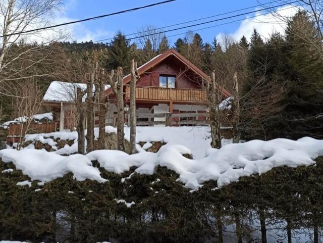 Les Cimes Blanches Cledicihome Chalet 10 Pers Spa & Grand Terrain 4 Minutes Des Pistes La Bresse Exterior photo