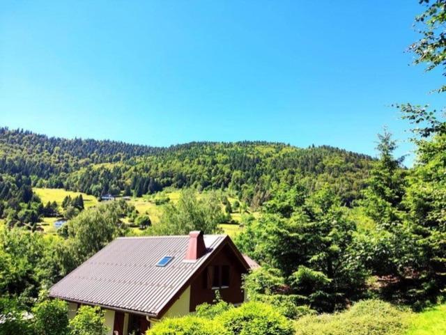 Les Cimes Blanches Cledicihome Chalet 10 Pers Spa & Grand Terrain 4 Minutes Des Pistes La Bresse Exterior photo